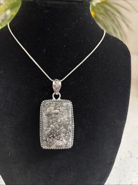 Sterling Silver Gray Crinoid Fossil Gemstone Pendant Necklace